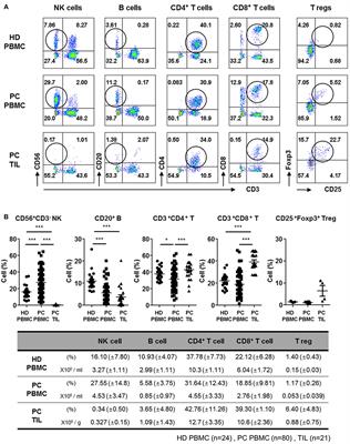 Defective Localization With Impaired Tumor Cytotoxicity Contributes to the Immune Escape of NK Cells in Pancreatic Cancer Patients